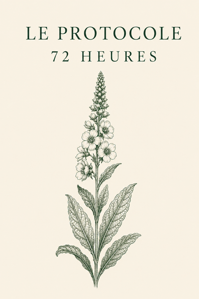 Le Protocole 72 Heures